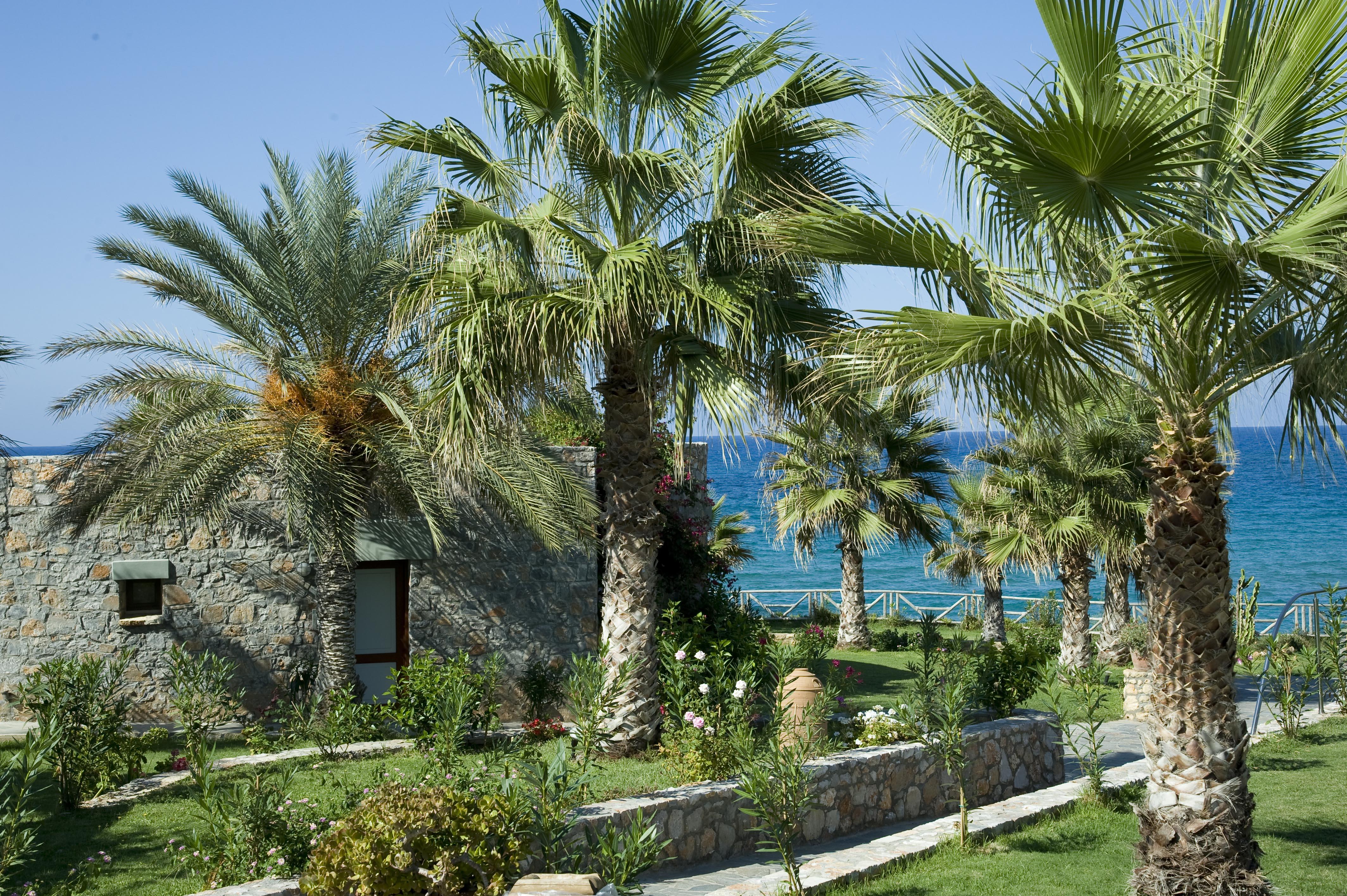 Ikaros Beach, Luxury Resort & Spa - Adults Only Малиа Екстериор снимка